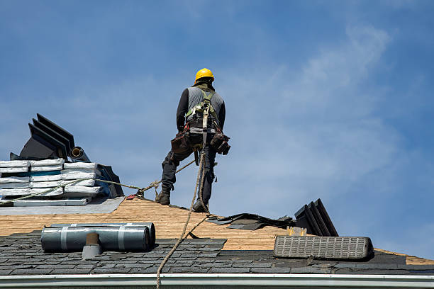 Professional Roof Replacement technician working in Laura, IL
